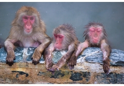 relaxのイラスト