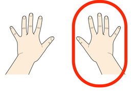 rightのイラスト