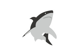 sharkのイラスト