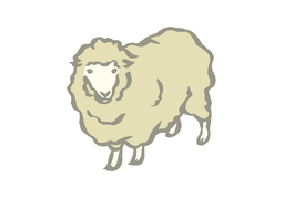 sheepのイラスト