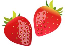 strawberryのイラスト