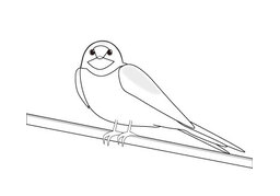 swallowのイラスト