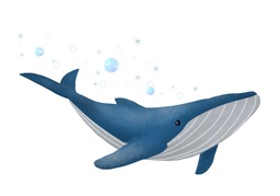 whaleのイラスト
