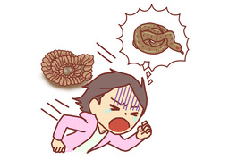 appearのイラスト