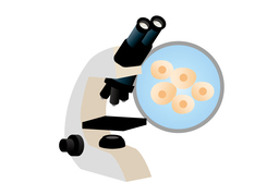 biologyのイラスト