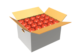 bulkのイラスト