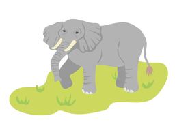 bulkyのイラスト