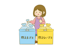 classifyのイラスト