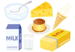 dairyのイラスト