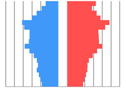 demographicsのイラスト