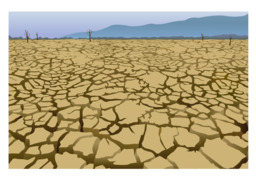 droughtのイラスト