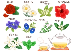 edibleのイラスト