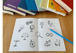 fieldのイラスト
