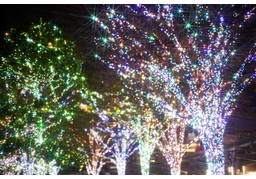 flashyのイラスト