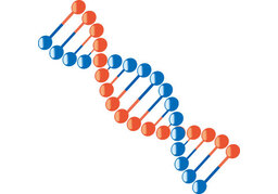 geneticallyのイラスト
