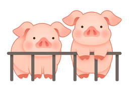 livestockのイラスト