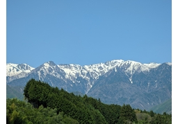 majesticのイラスト