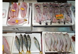 marketplaceのイラスト