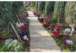 pathwayのイラスト