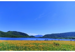 picturesqueのイラスト