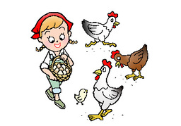 poultryのイラスト