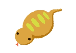 rareのイラスト