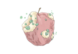 rotのイラスト