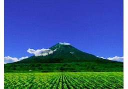 scenicのイラスト