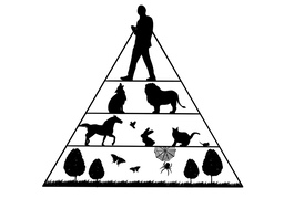 speciesのイラスト