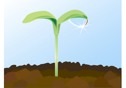 sproutのイラスト