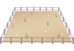 surroundのイラスト