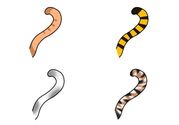 tailのイラスト