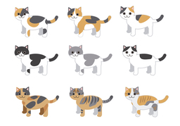 traitのイラスト
