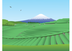 vastのイラスト