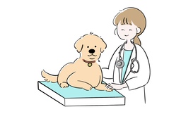 veterinarianのイラスト