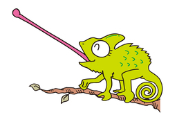 wildlifeのイラスト